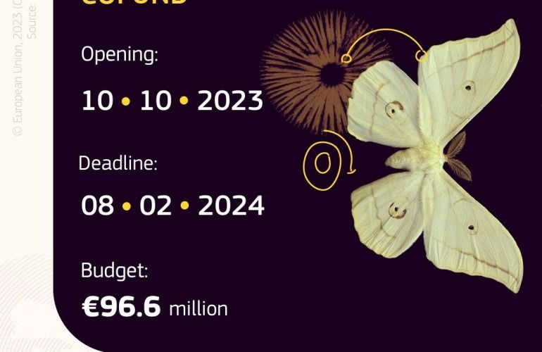 Poziv na iskaz interesa za partnerstvo u prijavi HORIZON MSCA COFUND 2023 projekta – The New International Fellowship Mobility Programme for Experienced Researchers in Croatia (NEWFELPRO 2)
