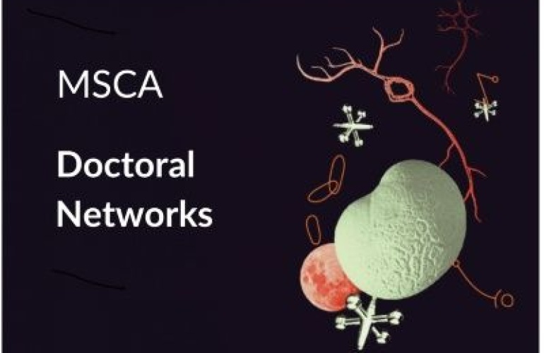 Rezultati natječaja za MSCA doktorske mreže 2024.
