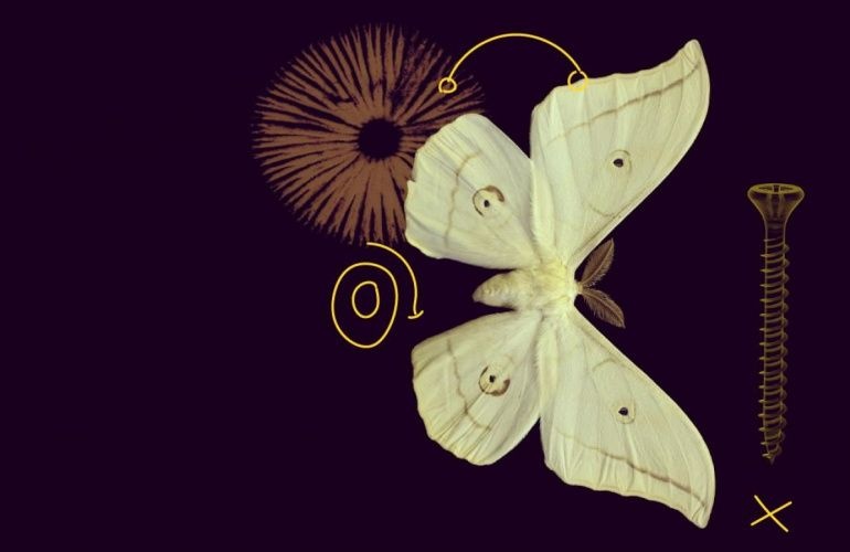 Rezultati MSCA COFUND 2025. natječaja