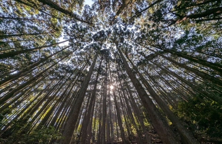 Poziv na dostavu projektnih prijedloga u sklopu FOREST poziva 2026. godine