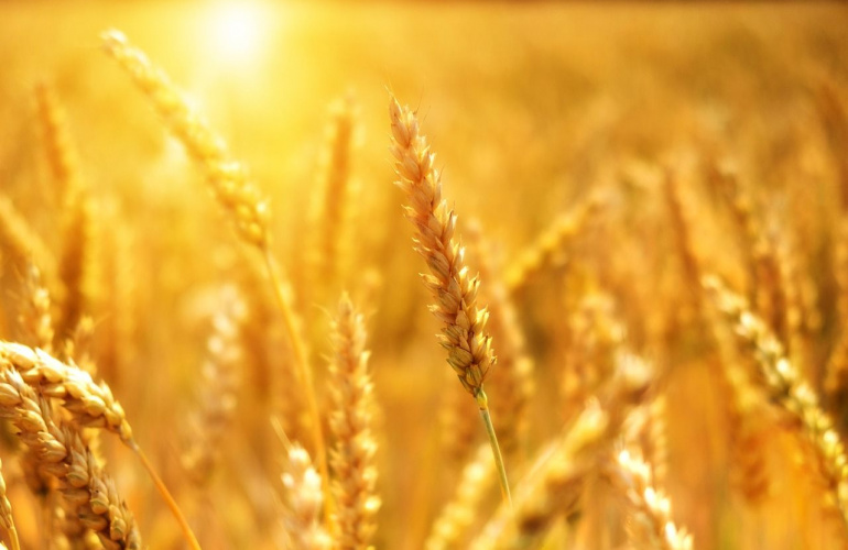 Informativni dani Europske komisije za klaster 6 