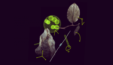 Uspjeh hrvatskih organizacija u MSCA Postdoktorskim stipendijama 2025.