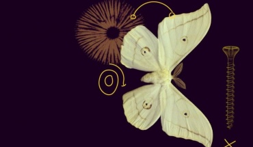 Rezultati MSCA COFUND 2025. natječaja