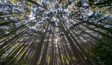 Poziv na dostavu projektnih prijedloga u sklopu FOREST poziva 2026. godine