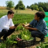 Novi strateški pristup EU-a istraživanjima i inovacijama u poljoprivredi i prehrani: predstavljeni okviri AgRI 2040 i Food 2040