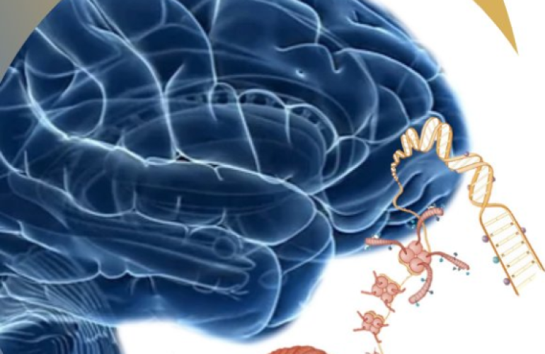 Poziv na dostavu projektnih prijedloga 2023. godine u sklopu ERA-NET sheme „Network of European Funding for Neuroscience Research“ (NEURON)