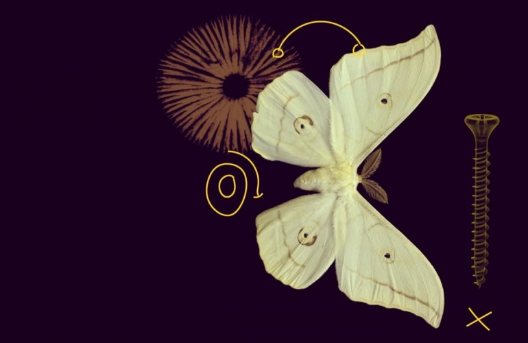 Otvoren MSCA COFUND natječaj za 2026. godinu