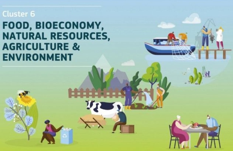 Otvoreni natječaji klastera 6 - Hrana, biogospodarstvo, prirodni resursi, poljoprivreda i okoliš