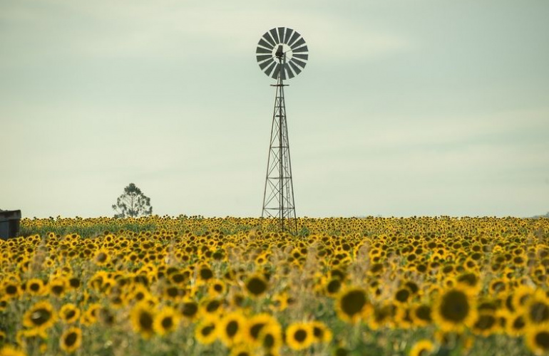 Otvoreni natječaji: Klaster 6 - Hrana, biogospodarstvo, prirodni resursi, poljoprivreda i okoliš