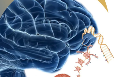 Poziv na dostavu projektnih prijedloga 2023. godine u sklopu ERA-NET sheme „Network of European Funding for Neuroscience Research“ (NEURON)