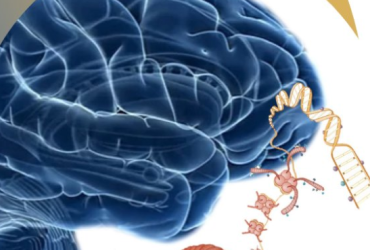 Poziv na dostavu projektnih prijedloga 2024. godine u sklopu ERA-NET sheme „Network of European Funding for Neuroscience Research“ (NEURON)