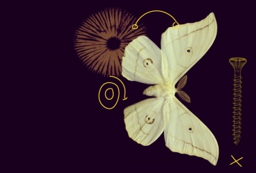 Otvoren MSCA COFUND natječaj za 2026. godinu