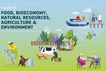 Otvoreni natječaji klastera 6 - Hrana, biogospodarstvo, prirodni resursi, poljoprivreda i okoliš